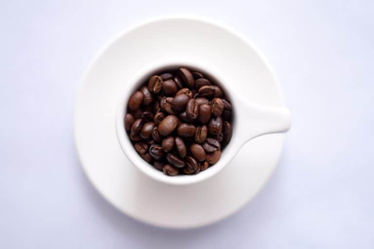 Le Traitement du café: 2 méthodes après récoltes
