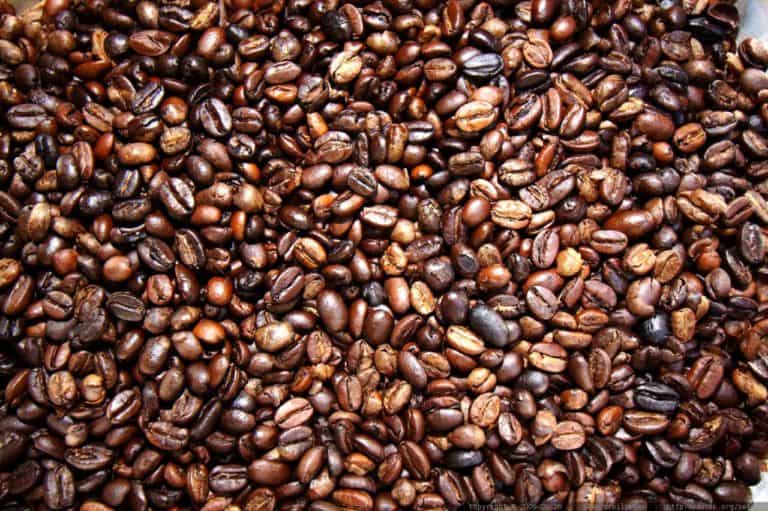 Moka Sidamo: Origine et particularité de ce café Éthiopien