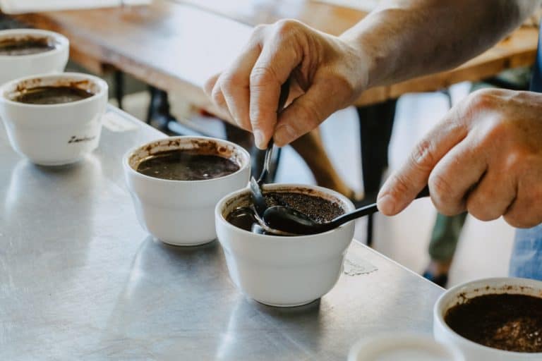 cupping-cafe-degustation